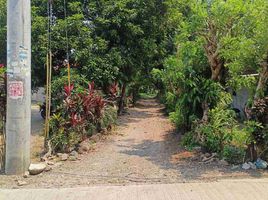  Land for sale in San Antonio, Quezon, San Antonio