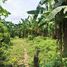  Land for sale in San Antonio, Quezon, San Antonio