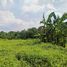  Land for sale in San Antonio, Quezon, San Antonio