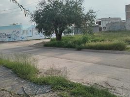  Grundstück zu verkaufen in Leon, Guanajuato, Leon, Guanajuato