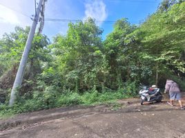  Land for sale in Talisay City, Cebu, Talisay City