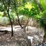  Terreno (Parcela) en venta en Lapu-Lapu City, Central Visayas, Lapu-Lapu City, Cebu