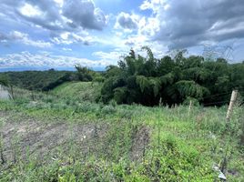  Land for sale in Pereira, Risaralda, Pereira