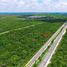  Terrain for sale in Cancun, Quintana Roo, Cancun