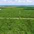  Terrain for sale in Cancun, Quintana Roo, Cancun