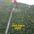  Land for sale in San Francisco, Cebu, San Francisco