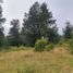  Terrain for sale in Villarrica, Cautin, Villarrica