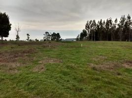  Land for sale in Biobío, Arauco, Arauco, Biobío