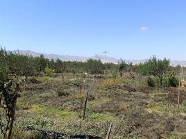  Terrain for sale in Caldera, Copiapo, Caldera