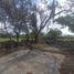  Land for sale in Poncitlan, Jalisco, Poncitlan