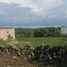  Land for sale in Poncitlan, Jalisco, Poncitlan
