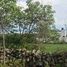  Land for sale in Poncitlan, Jalisco, Poncitlan