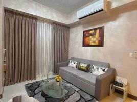 1 Bedroom Apartment for rent in Manila International Airport LRT-1, Pasay City, Taguig City