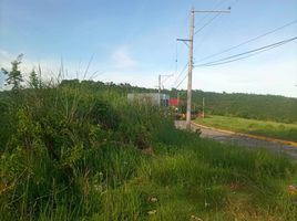  Land for sale in Talisay City, Cebu, Talisay City