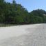  Land for sale in San Vicente, Mimaropa, San Vicente, Palawan, Mimaropa