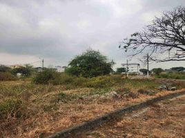  Land for sale in Samborondon, Guayas, Samborondon, Samborondon