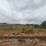  Land for sale in Samborondon, Guayas, Samborondon, Samborondon