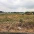  Land for sale in Samborondon, Guayas, Samborondon, Samborondon