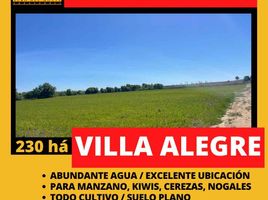  Terrain for sale in Linares, Maule, Linares, Linares