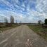  Land for sale in San Ignacio, Nuble, San Ignacio