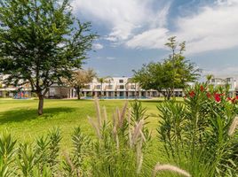 3 Habitación Casa en venta en Miacatlan, Morelos, Miacatlan