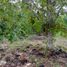  Land for sale in Oxkutzcab, Yucatan, Oxkutzcab