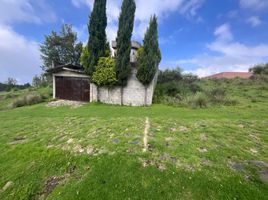  Terreno (Parcela) en venta en Tlalnepantla, Morelos, Tlalnepantla