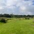  Land for sale in Tlalnepantla, Morelos, Tlalnepantla