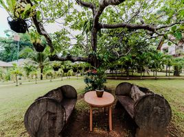  Hotel / Resort zu verkaufen in Palawan, Mimaropa, Puerto Princesa City