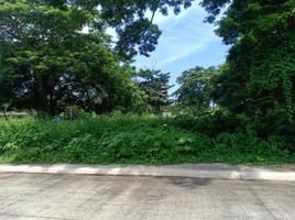 Terrain à vendre à San Juan, Calabarzon, San Juan, Batangas