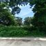 Terrain à vendre à San Juan, Calabarzon, San Juan, Batangas