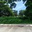 Terrain à vendre à San Juan, Calabarzon, San Juan, Batangas