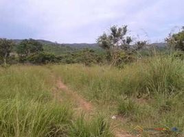  Terrain for sale in Coron, Palawan, Coron