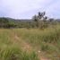  Land for sale in Coron, Mimaropa, Coron, Palawan, Mimaropa
