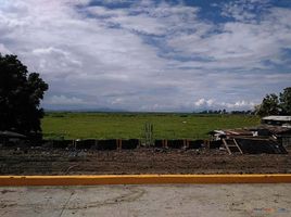  Land for sale in Taguig City, Metro Manila, Taguig City