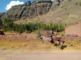  Terreno (Parcela) en venta en Cusco, Coya, Calca, Cusco