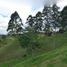  Land for sale in Marinilla, Antioquia, Marinilla