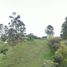  Land for sale in Marinilla, Antioquia, Marinilla