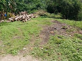  Grundstück zu verkaufen in Compostela, Nayarit, Compostela