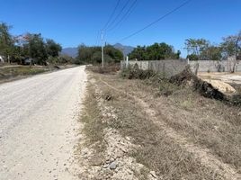  Terreno (Parcela) en venta en Compostela, Nayarit, Compostela