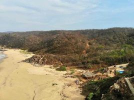  Terrain for sale in Oaxaca, Dist Pochutla, Oaxaca