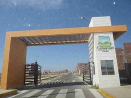  Terreno (Parcela) en venta en Piura, Piura, Piura, Piura, Piura