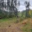  Land for sale in Valle, Cuenca, Valle