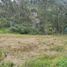  Land for sale in Valle, Cuenca, Valle