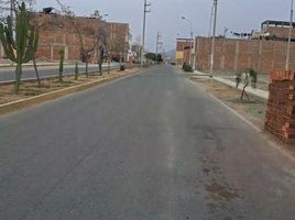 Grundstück zu verkaufen in Lurin, Lima, Lurin, Lima, Lima, Peru