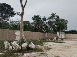 在Progreso, Yucatan出售的 土地, Progreso