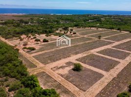  Land for sale in Dist Pochutla, Oaxaca, Dist Pochutla