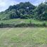  Terreno (Parcela) en venta en Compostela, Nayarit, Compostela