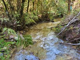  Terreno (Parcela) en venta en Los Muermos, Llanquihue, Los Muermos