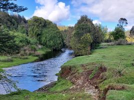  Terreno (Parcela) en venta en Puerto Montt, Llanquihue, Puerto Montt